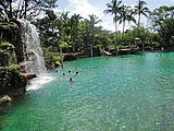 Swimming Swimming