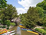 Grünes Oxford Grünes Oxford