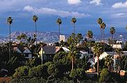 Hollywood Hollywood