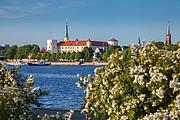 Alte Burg Alte Burg