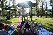 Picknick im Park Picknick im Park