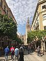 Altstadt mit Giralda