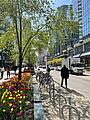 Elizabeth Street Elizabeth Street