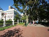 Company Gardens Company Gardens