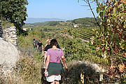 Wandern durch die Provence Wandern durch die Provence