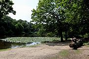 Wimbledon Common Wimbledon Common