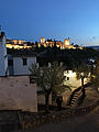 Alhambra bei Nacht