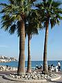 Promenade des Anglais