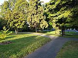 Park in Nelson Park in Nelson