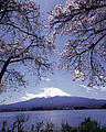 Mount Fuji