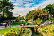 lower gardens lower gardens