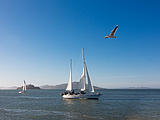 Sailing vor Alcatraz