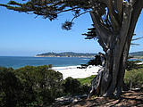 Carmel Beach