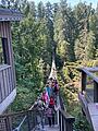 Capilano Experience Capilano Experience