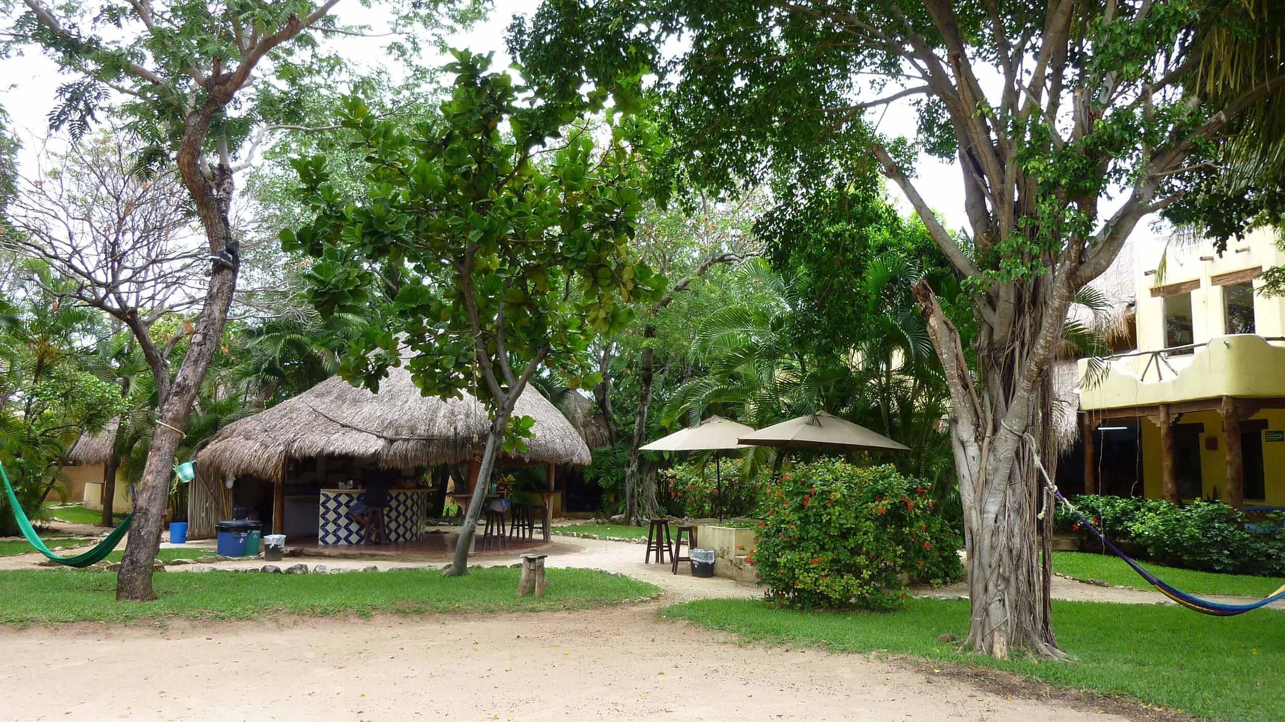 Hier finden Sie Infos zu Ihrer Sprachreise zu don Quijote Playa del Carmen.