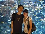in Toronto Zoo in Toronto Zoo