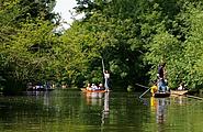 Punting Punting